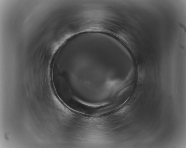 X0000099421422200805231618