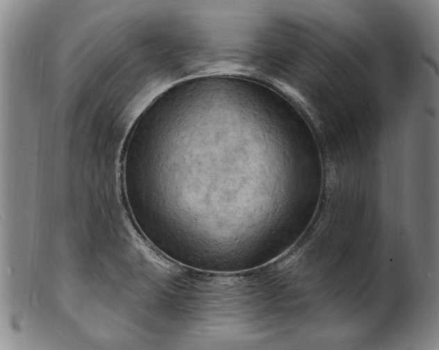 X0000099421423200805231618