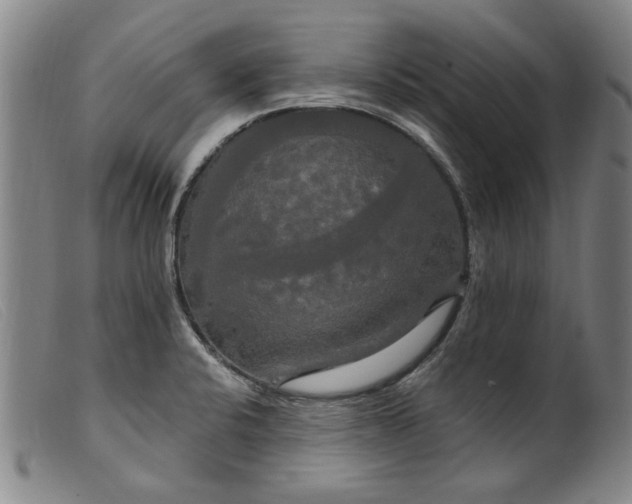 X0000099421424200805231618