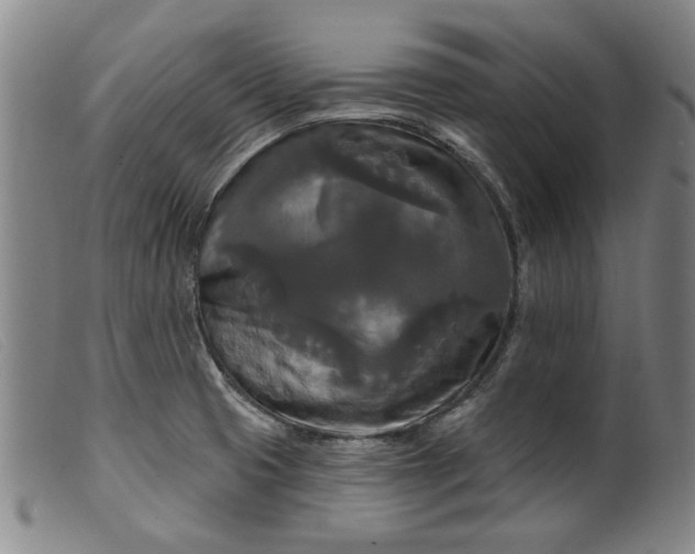 X0000099421425200805231618
