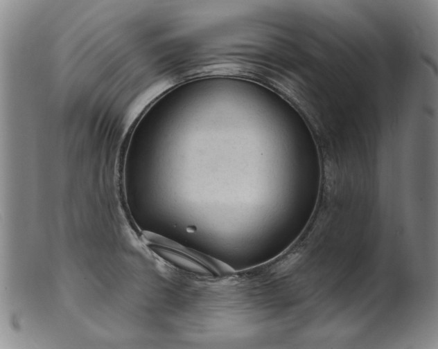 X0000099421426200805231618