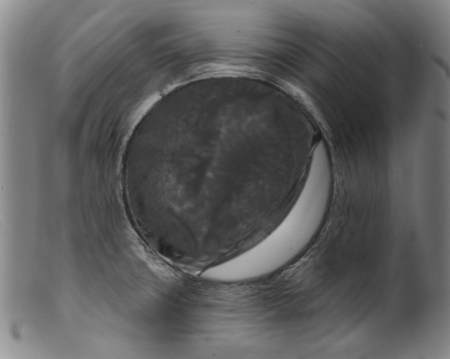 X0000099421427200805231618