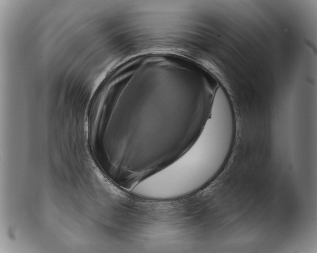 X0000099421428200805231618