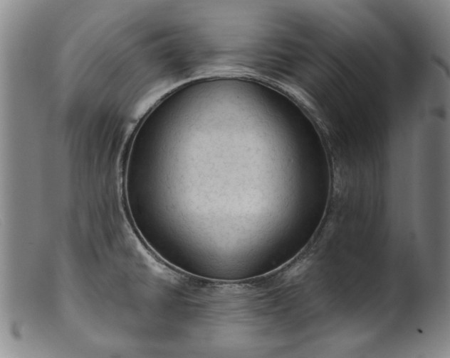 X0000099421430200805231618