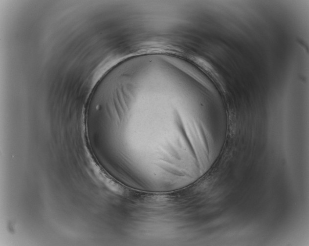 X0000099421431200805231618