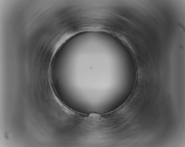 X0000099421432200805231618