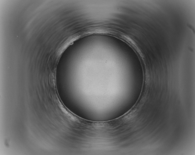 X0000099421433200805231618