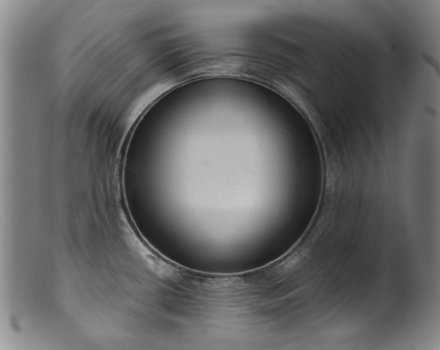 X0000099421434200805231618