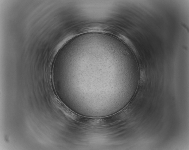 X0000099421435200805231618