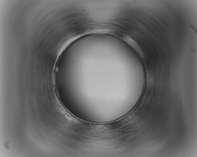X0000099421436200805231618