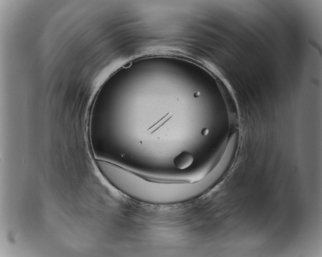 X0000099421437200805231618