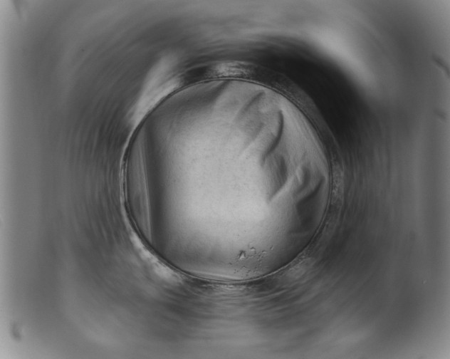 X0000099421439200805231618