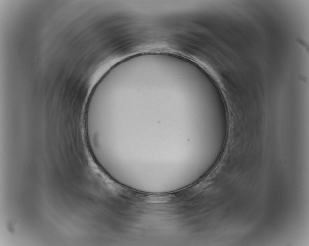 X0000099421440200805231618