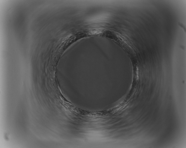 X0000099421441200805231618