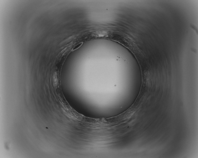 X0000099421442200805231618