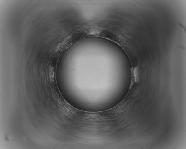 X0000099421443200805231617