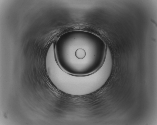 X0000099421444200805231617