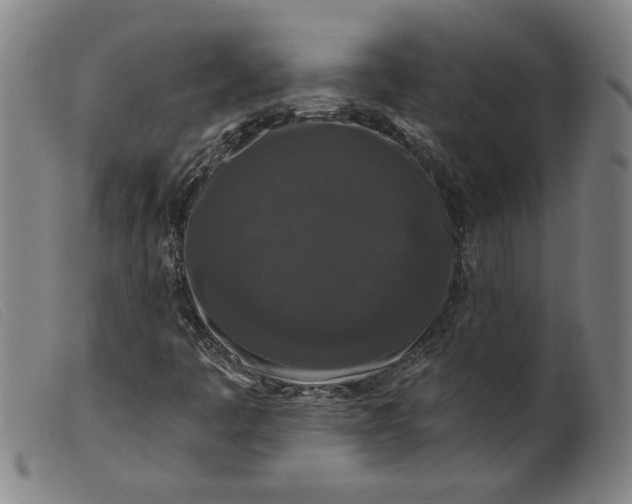 X0000099421445200805231617