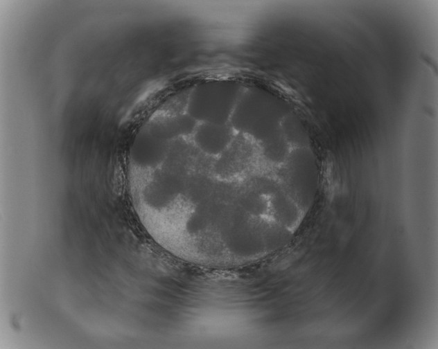 X0000099421446200805231617