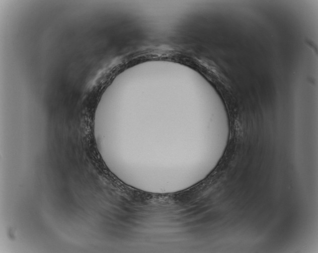 X0000099421447200805231617
