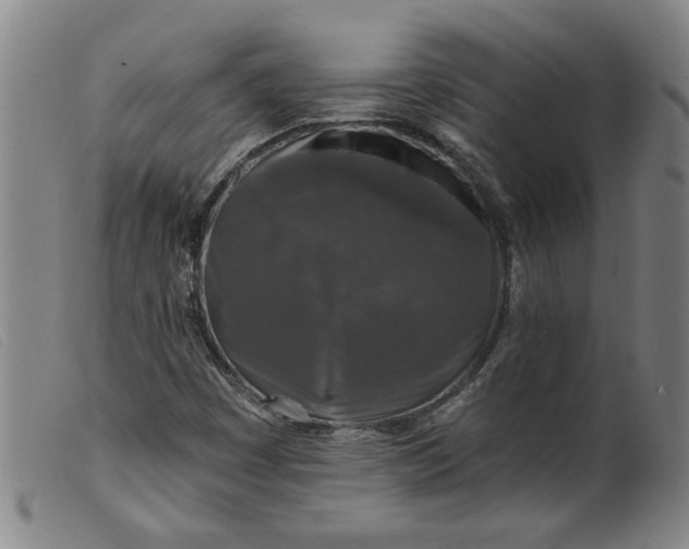 X0000099421449200805231617