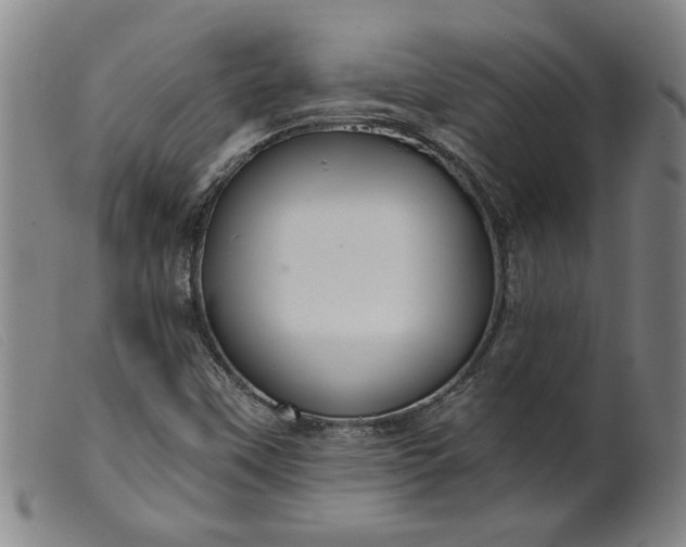 X0000099421451200805231617