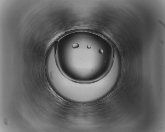 X0000099421452200805231617