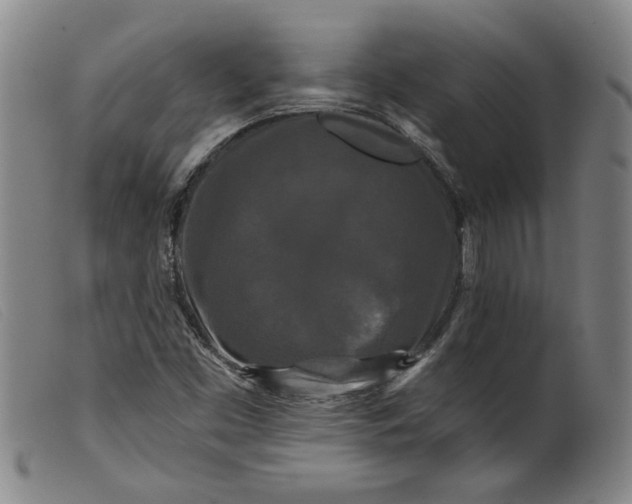 X0000099421453200805231617