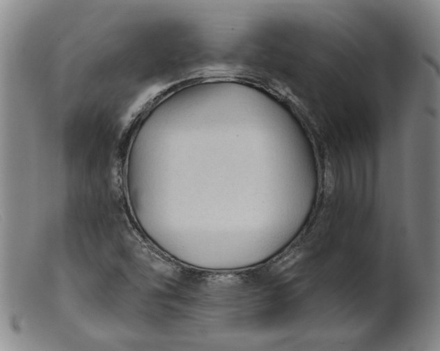 X0000099421454200805231617