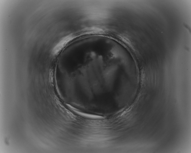 X0000099421455200805231617
