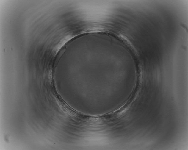 X0000099421457200805231617