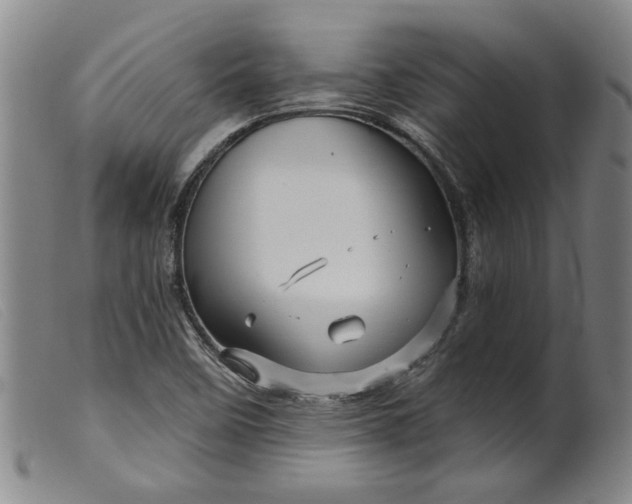 X0000099421458200805231617