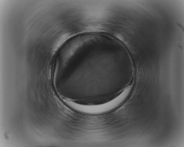 X0000099421459200805231617