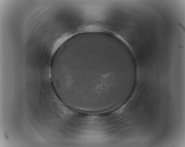 X0000099421461200805231617