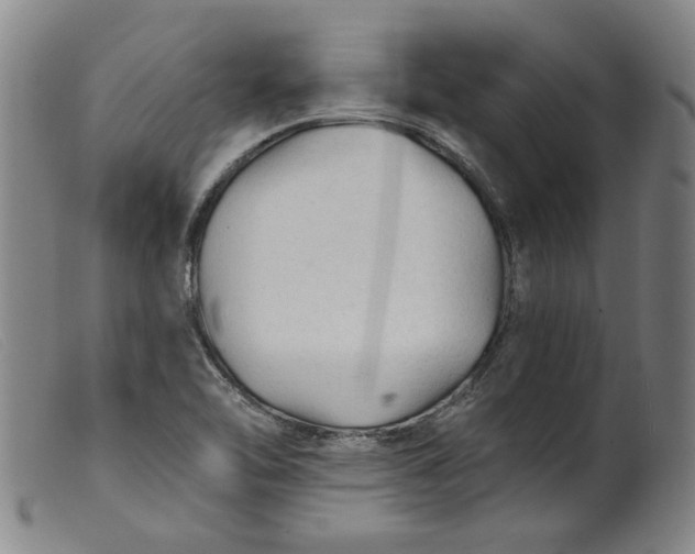 X0000099421462200805231617