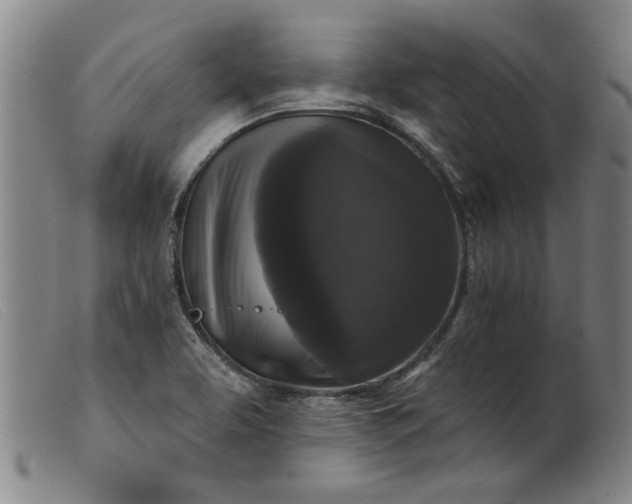 X0000099421463200805231617