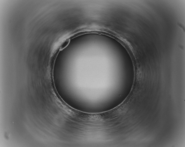 X0000099421464200805231617