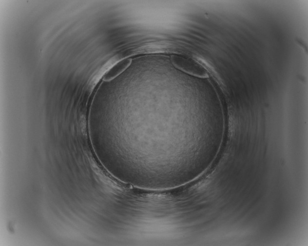 X0000099421465200805231617