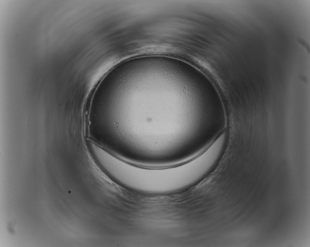 X0000099421467200805231617