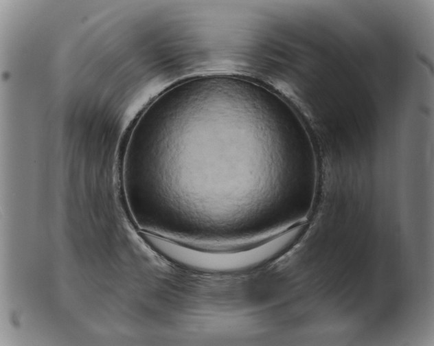 X0000099421469200805231617