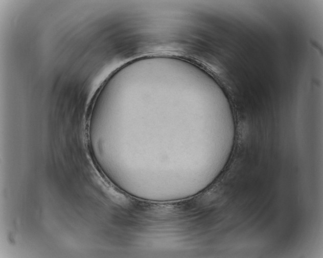 X0000099421470200805231617