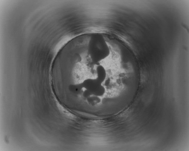 X0000099421471200805231617