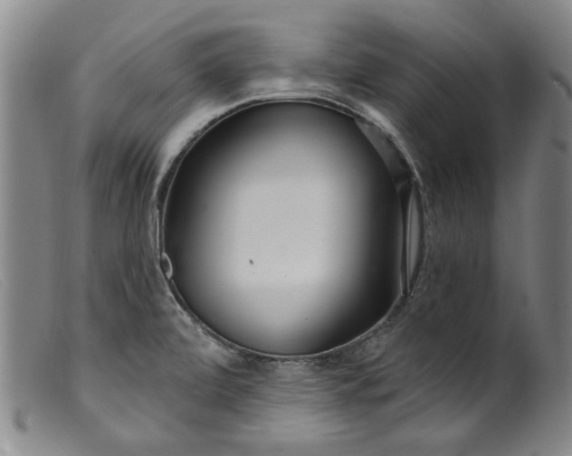 X0000099421472200805231617