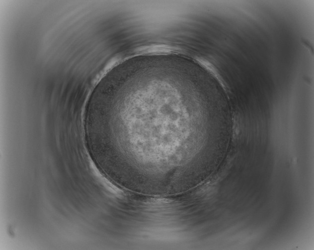 X0000099421475200805231617