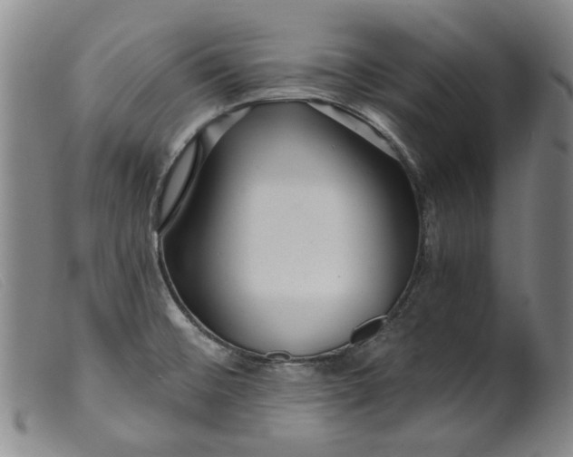 X0000099421476200805231617