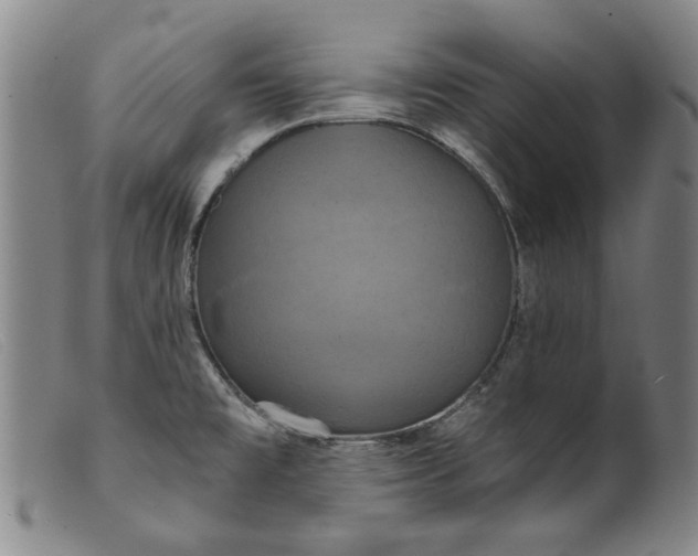 X0000099421477200805231617