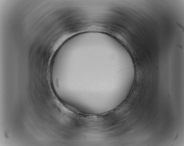 X0000099421478200805231617