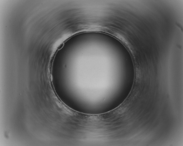 X0000099421480200805231617