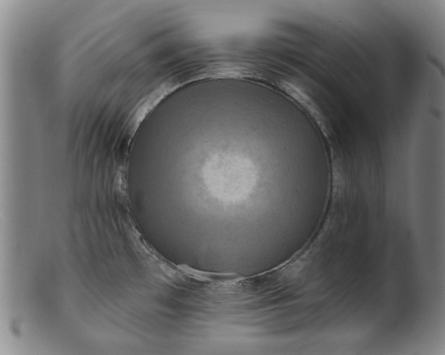 X0000099421481200805231617