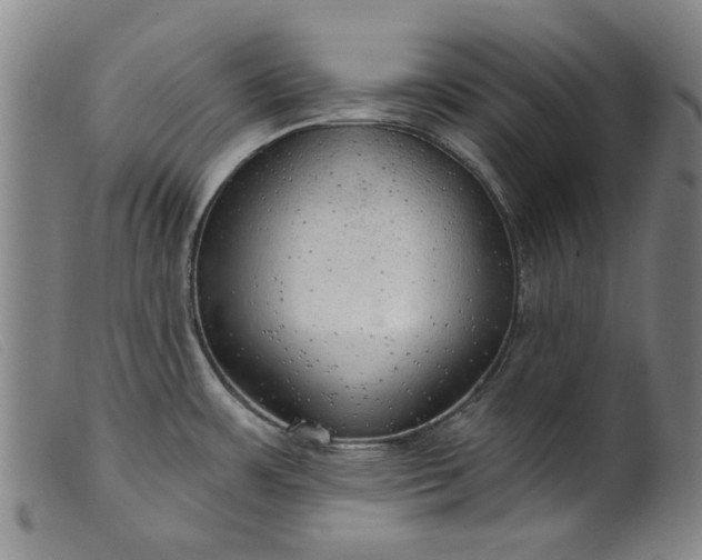 X0000099421483200805231617